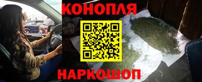 дживик Бийск
