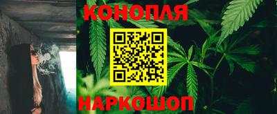 эйфоретик Берёзовский