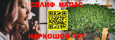 эйфоретик Берёзовский