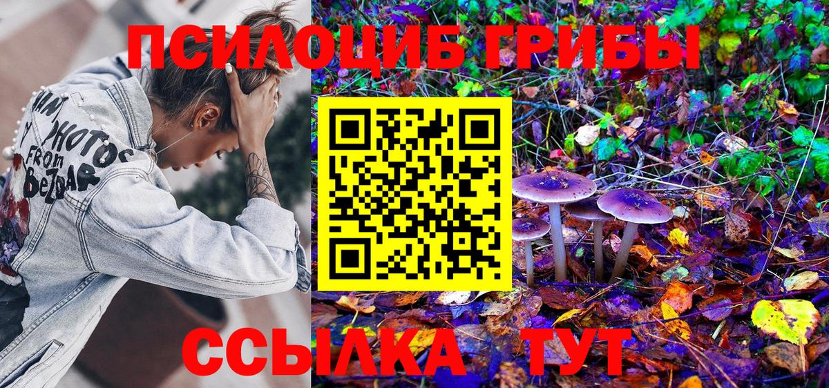 Каменск-Уральский  Псилоцибиновые грибы Magic Shrooms  Вход с VPN 